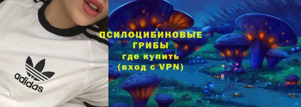 ПСИЛОЦИБИНОВЫЕ ГРИБЫ Абаза