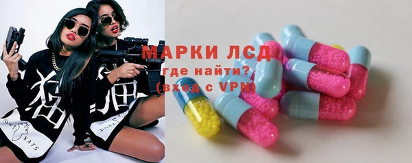 ПСИЛОЦИБИНОВЫЕ ГРИБЫ Абаза