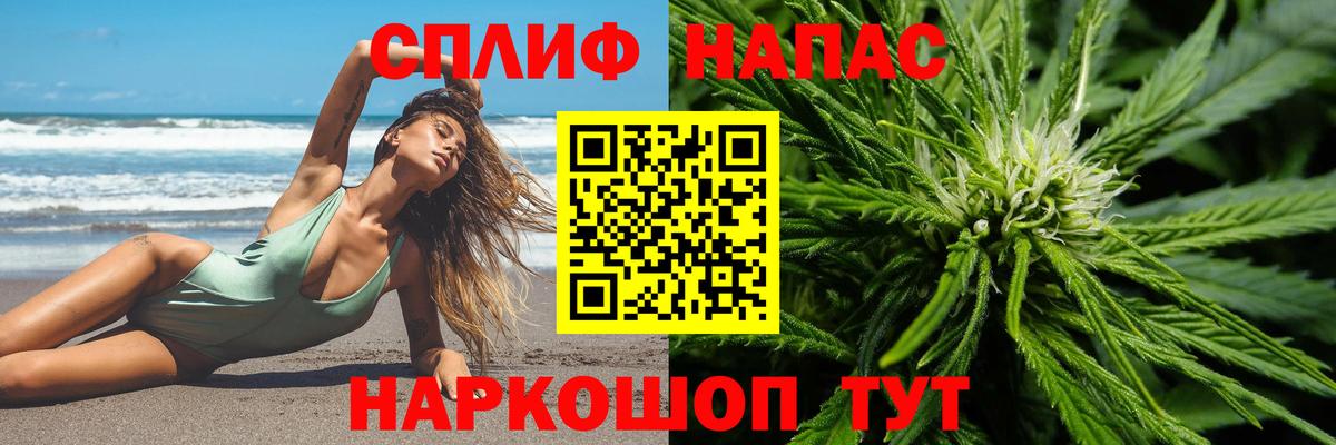 Бошки Шишки гибрид Анапа